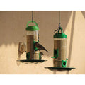 Bird feeder