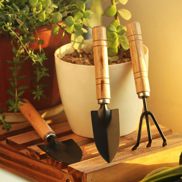 3 Pcs Gardening Hand Tool Kit