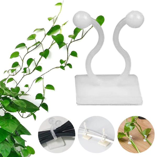 Multipurpose Adhesive Vine Wale Money Plant Wall Fixing Twist Support Clips (pack of 30pc)