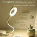 Voice Control USB Light