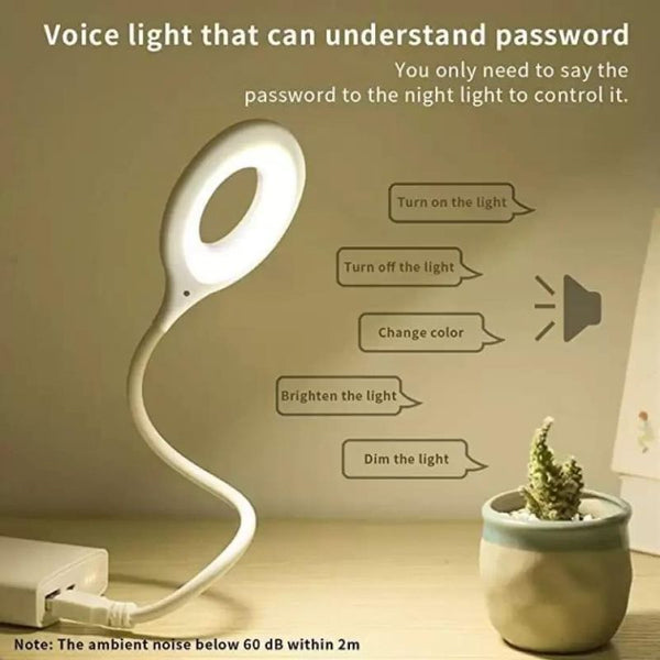 Voice Control USB Light